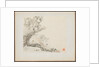 Album of Landscape Paintings Illustrating Old Poems: A Man Lies under a Rocky Overhang?, 1700s by Hua Yan