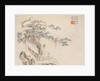 Album of Landscape Paintings Illustrating Old Poems: An Old Man Sits under a Pine Tree…, 1700s by Hua Yan