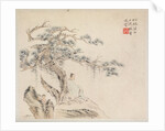 Album of Landscape Paintings Illustrating Old Poems: An Old Man Sits under a Pine Tree…, 1700s by Hua Yan