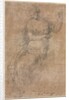 Allegorical Figure, 16th century by Niccolo dell' Abbate