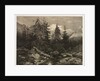 Alpine Stream by Alexandre Calame