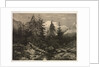Alpine Stream by Alexandre Calame