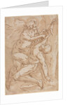 Apollo Flaying Marsyas, 16th century by Anonymous