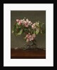 Apple Blossoms, 1873 by Martin Johnson Heade
