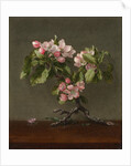 Apple Blossoms, 1873 by Martin Johnson Heade