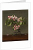 Apple Blossoms, 1873 by Martin Johnson Heade