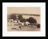 Asyut, View from the Mountain, c. 1870s -1880 by Antonio Beato