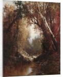 Autumn Scene in the Adirondacks, 1877 by William Hart