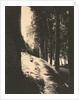 Autun, Tower of Ursulines, c. 1860s by Charles Lenormand