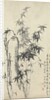 Bamboo and Rock, 1765 by Zheng Xie