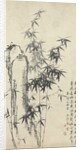 Bamboo and Rock, 1765 by Zheng Xie
