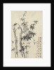 Bamboo and Rock, 1765 by Zheng Xie