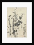 Bamboo and Rock, 1765 by Zheng Xie