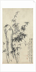 Bamboo and Rock, 1765 by Zheng Xie