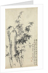 Bamboo and Rock, 1765 by Zheng Xie