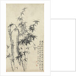 Bamboo and Rock, 1765 by Zheng Xie