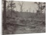 Battlefield of New Hope Church, Georgia, No. 2, 1865-1866 by George N. Barnard