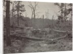 Battlefield of New Hope Church, Georgia, No. 2, 1865-1866 by George N. Barnard
