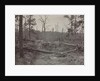 Battlefield of New Hope Church, Georgia, No. 2, 1865-1866 by George N. Barnard
