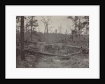 Battlefield of New Hope Church, Georgia, No. 2, 1865-1866 by George N. Barnard