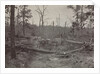 Battlefield of New Hope Church, Georgia, No. 2, 1865-1866 by George N. Barnard