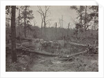 Battlefield of New Hope Church, Georgia, No. 2, 1865-1866 by George N. Barnard