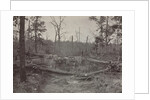 Battlefield of New Hope Church, Georgia, No. 2, 1865-1866 by George N. Barnard