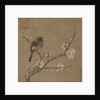 Bird on a Flowering Branch, 1100s by Unknown