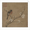 Bird on a Flowering Branch, 1100s by Unknown