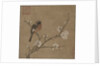 Bird on a Flowering Branch, 1100s by Unknown
