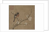 Bird on a Flowering Branch, 1100s by Unknown