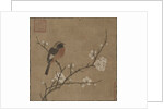 Bird on a Flowering Branch, 1100s by Unknown
