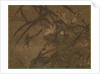 Birds and Flowers, mid-1400s-early 1500s by Sessh? T?y? (attributed to)