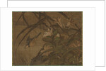 Birds and Flowers, mid-1400s-early 1500s by Sessh? T?y? (attributed to)