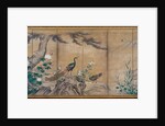 Birds, Trees, and Flowers, late 1500s by Kano Shoei (attributed to)