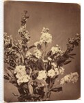 Bouquet, c. 1855 by Adolphe Braun