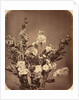 Bouquet, c. 1855 by Adolphe Braun