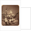 Bouquet, c. 1855 by Adolphe Braun