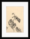 Branch of Begonia in Bloom by Kono Bairei