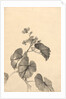 Branch of Begonia in Bloom by Kono Bairei