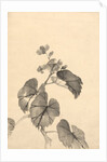 Branch of Begonia in Bloom by Kono Bairei