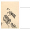 Branch of Begonia in Bloom by Kono Bairei