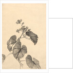 Branch of Begonia in Bloom by Kono Bairei
