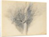 Budding Sycamore, c. 1876 by John Ruskin