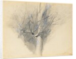 Budding Sycamore, c. 1876 by John Ruskin
