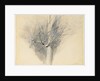 Budding Sycamore, c. 1876 by John Ruskin