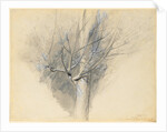 Budding Sycamore, c. 1876 by John Ruskin