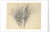 Budding Sycamore, c. 1876 by John Ruskin