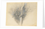 Budding Sycamore, c. 1876 by John Ruskin