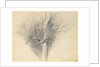 Budding Sycamore, c. 1876 by John Ruskin